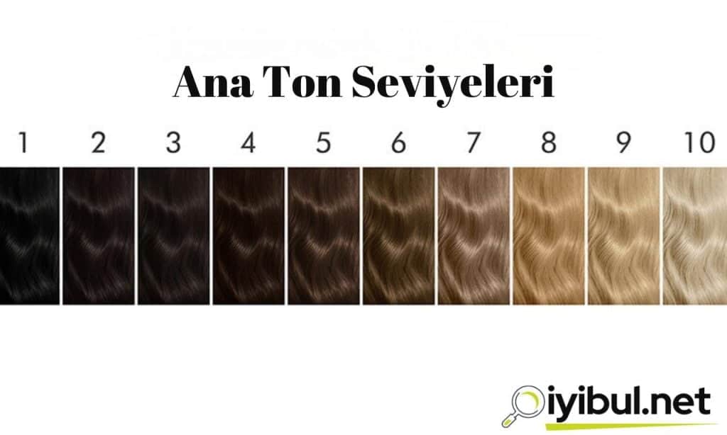 ana ton numaraları